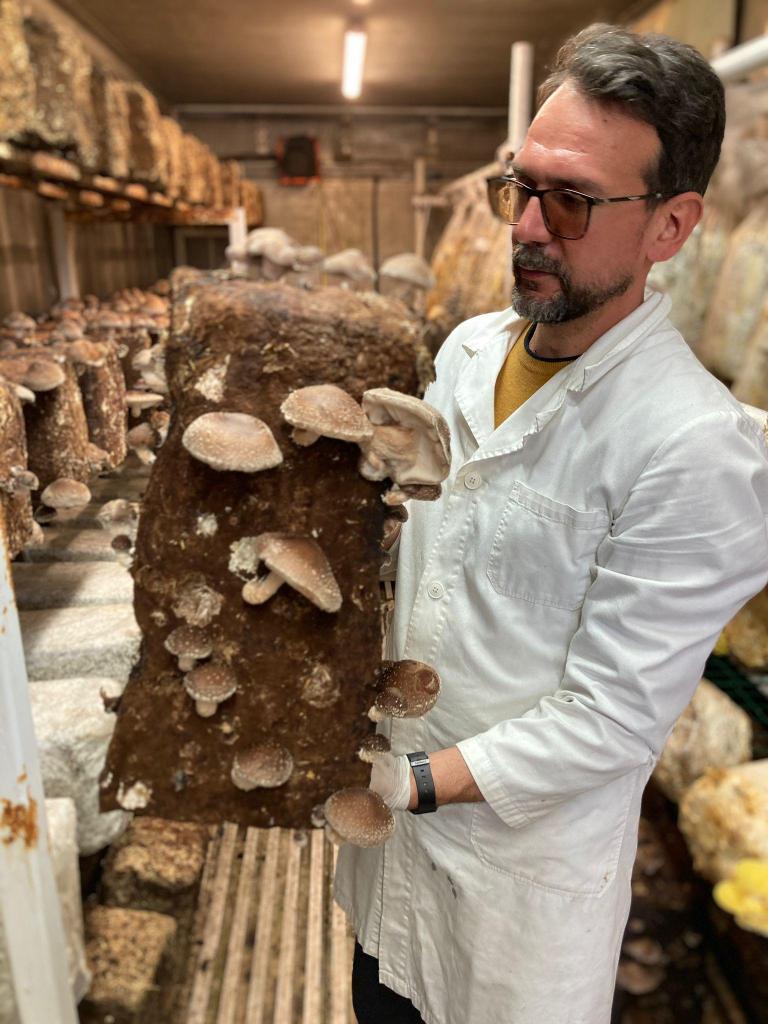 Circular Farm la fattoria urbana circolare - 1kMgNdxEN8KoL.jpg