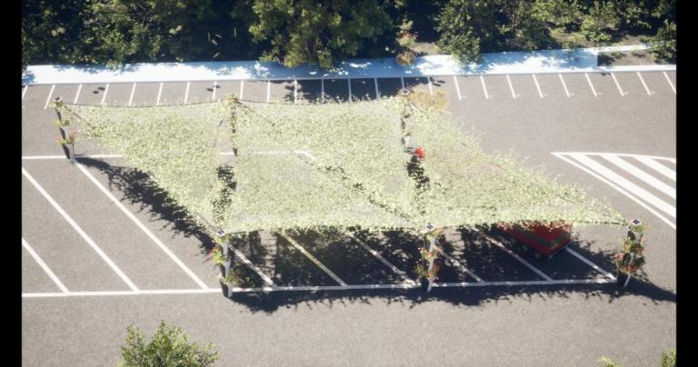 Life Pillars - 22jnw3va56H8a.jpeg