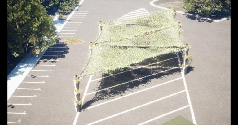 Life Pillars - 24V6MHbHcPo1w.jpeg