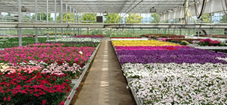 Opening Technologies for Smart Communities - 2ujoII3kQMIn5.jpg