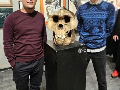 BAAK Paleoarte y Cultura Pop - Maker Faire cdmx-mexico-city 2024