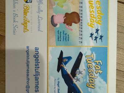 Blue Angels Childrens Books