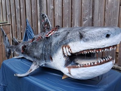 Captain Salazar - Maker Faire Eindhoven