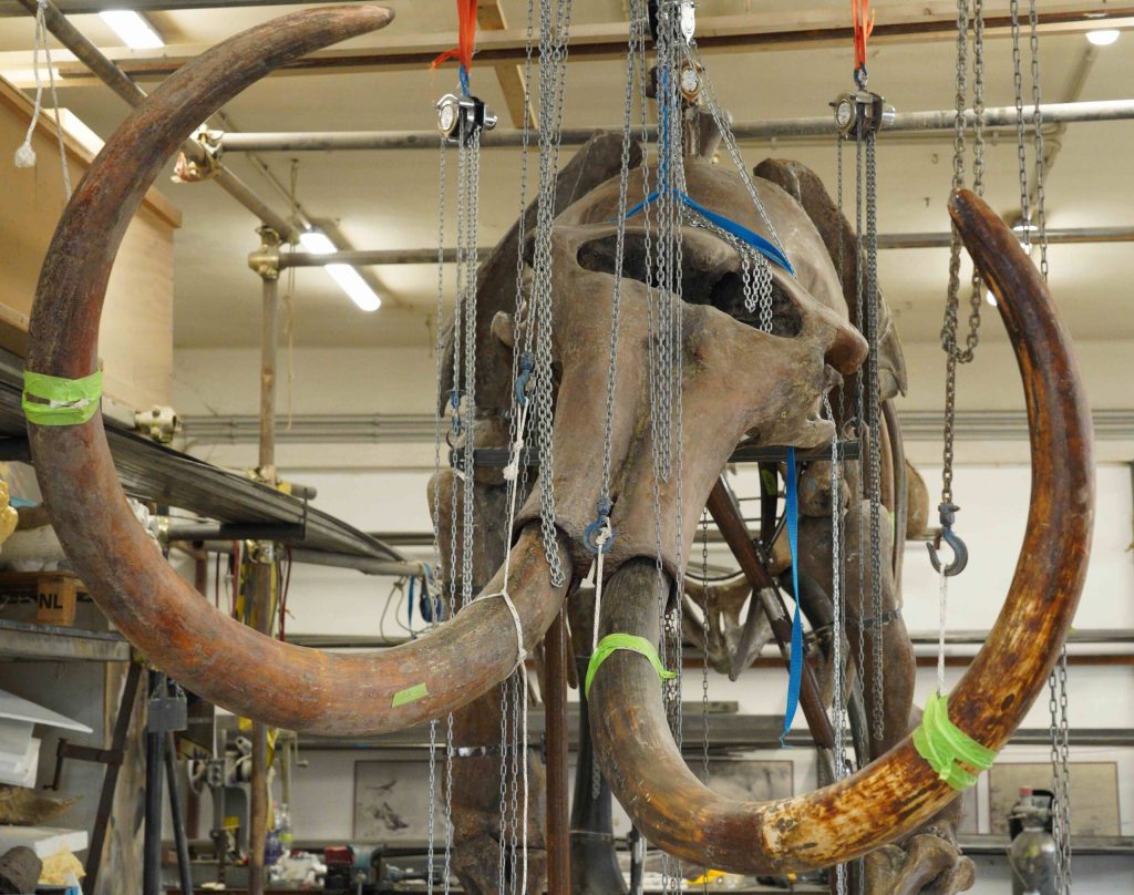 C'era una volta il Mammut - Maker Faire Trieste