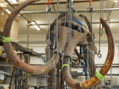 C'era una volta il Mammut - Maker Faire Trieste