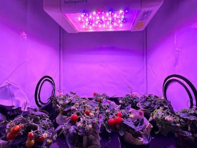 Cibo per lo Spazio - Maker Faire rome 2024