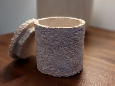 Cogumelos e o seu uso como biomateriais - Maker Faire Lisbon