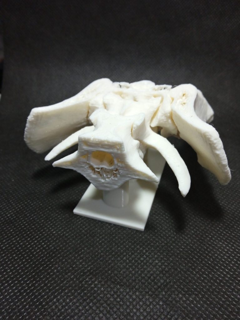 Diseo e Impresin 3D en la medicina veterinaria - Maker Faire CDMX (Mexico City)