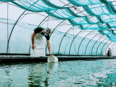Etika Spirulina - Maker Faire Lille 2024