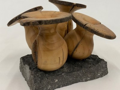 Ginowoodwork/Rubenwoodcraft - Maker Faire Eindhoven