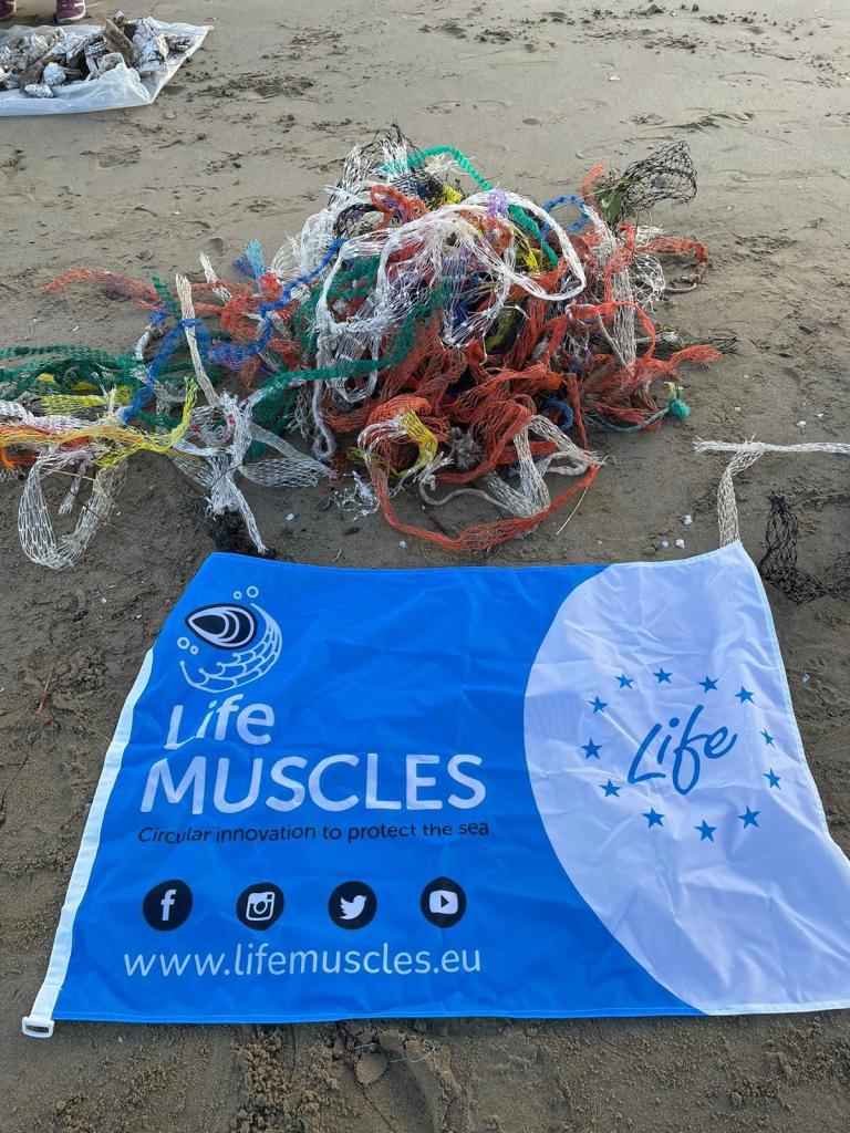 Life MUssel Sustainable production (re)cyCLES – Life MUSCLES - IeK0xlZo5r0y.jpg