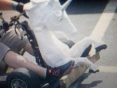 LVL1 Power Racing Series Team - Maker Faire Lynchburg 2024