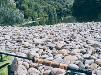 Mouches artificielles - Maker Faire France 2024