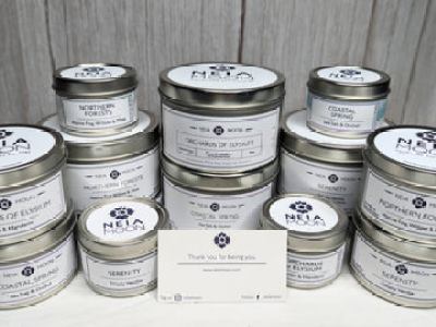 NEIA Moon - Maker Faire Syracuse 2024