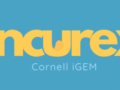 Oncurex - Maker Faire Syracuse 2024