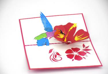 Open Card Now pop up cards - Maker Faire Miami