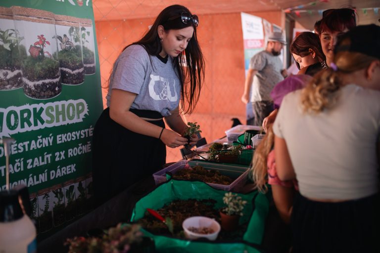 Maker Faire Pardubice 2024 - pardubice_9