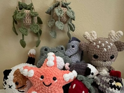 Purr-fect Stitches by Miranda - Maker Faire Rocklin 2024