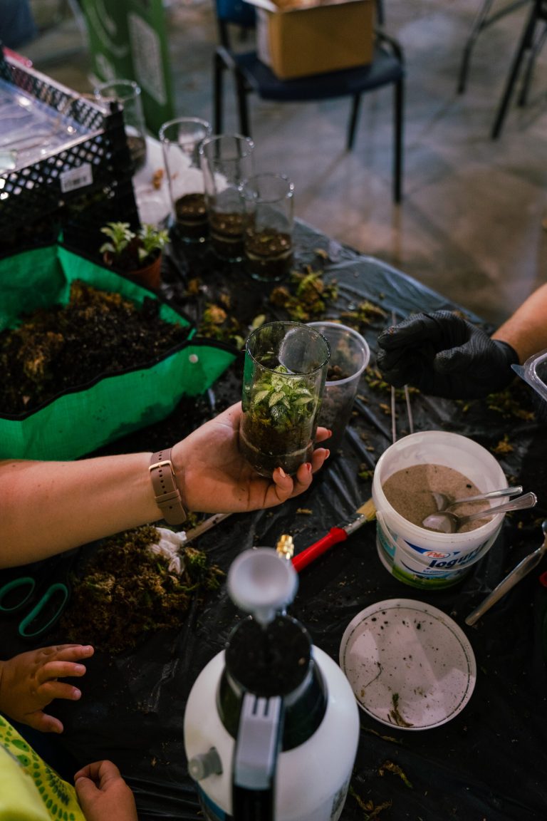Maker Faire Rychnov nad Kněžnou 2024 - rhycnov_5