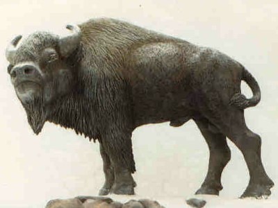 Woodbcreations - Maker Faire Baton Rouge 2024