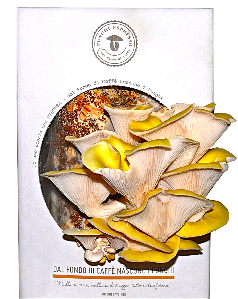 Circular Farm la fattoria urbana circolare - 2KhO6wO7YFslF.png