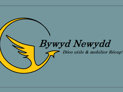 Bywyd Newydd - Maker Faire France 2024