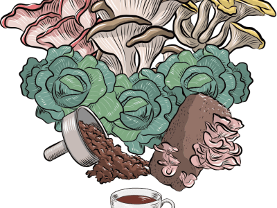 Circular Farm la fattoria urbana circolare - Maker Faire