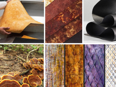 GIY Materials: Growing Fungi for BioFabrication - Maker Faire Bay Area 2024