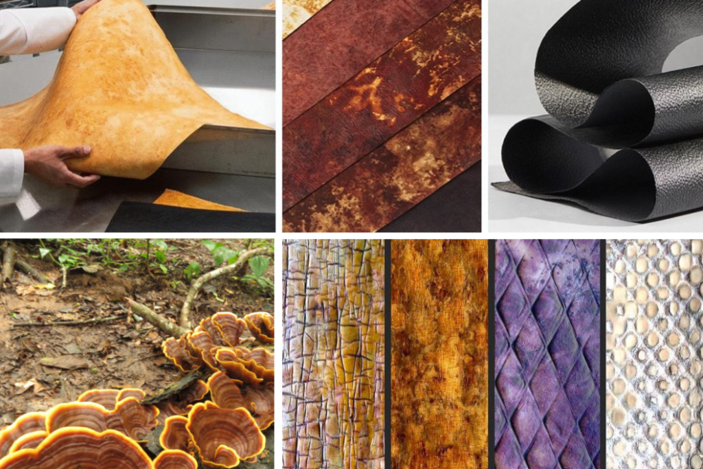 GIY Materials: Growing Fungi for BioFabrication - Maker Faire Bay Area 2024