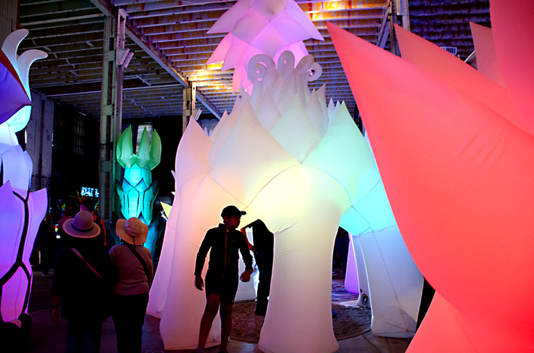 Maker Faire Bay Area 2024 - AstroBotanicals.  Photo by Juliann Brown