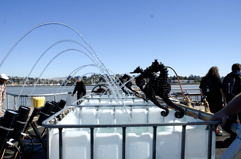 Maker Faire Bay Area 2024 - Kinetic Steam Works Fountain. Photo by Juliann Brown
