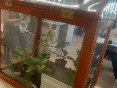 Progetto SERRA-TECH - Maker Faire