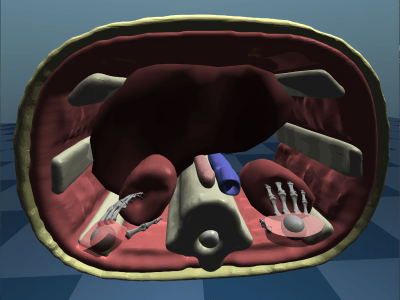 SoftTouch - Maker Faire rome 2024