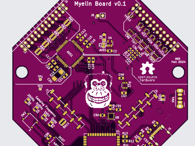 The Myelin Board: The Successor to OpenBCI's Cyton - Maker Faire Coney Island 2024